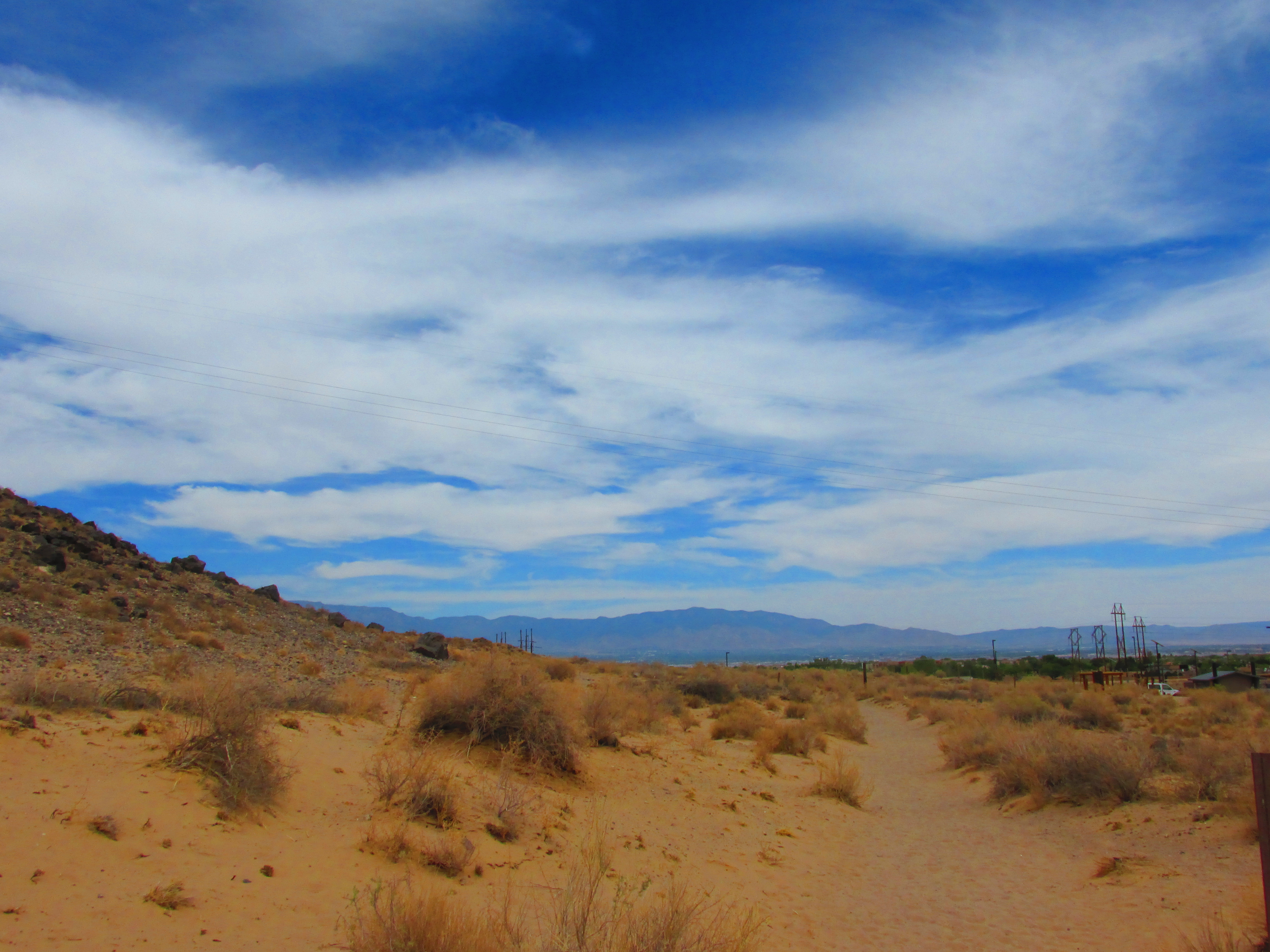 A Desert Setting