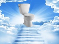 Daddy are There Potties in Heaven? — Where Do You Get Your Truth?