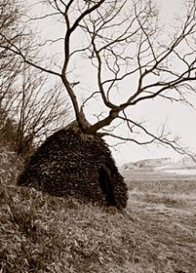 Oh...the humble beginning.