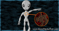 Anatomy of Grays: Alien Digest
